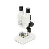 Telescope-Stereo Microscopes-Celestron Labs CL-S10-60 Stereo Microscope 5