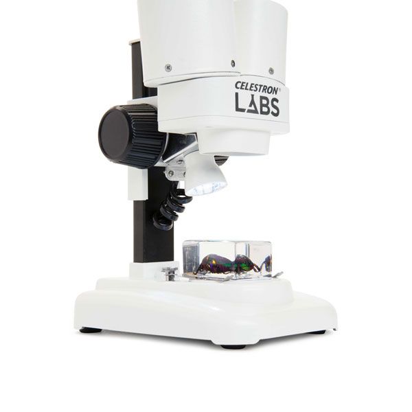 Telescope-Stereo Microscopes-Celestron Labs CL-S20 Stereo Microscope 2 Telescope-Stereo Microscopes-Celestron Labs CL-S20 Stereo Microscope - Image 2