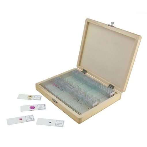 Telescope-Microscope Slides-Celestron Prepared Microscope Slide Set - 100 Piece - Image 2