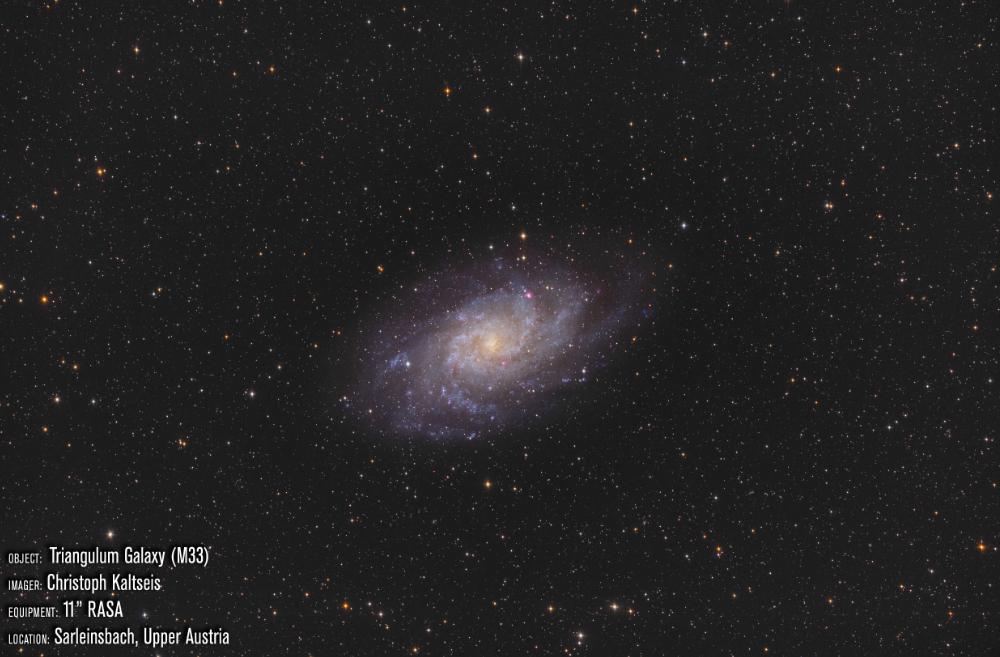 Triangulum Galaxy by RASA 11