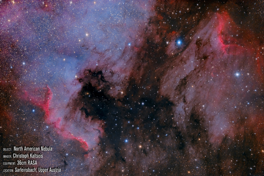 North American Nebula Captured by 36 RASA