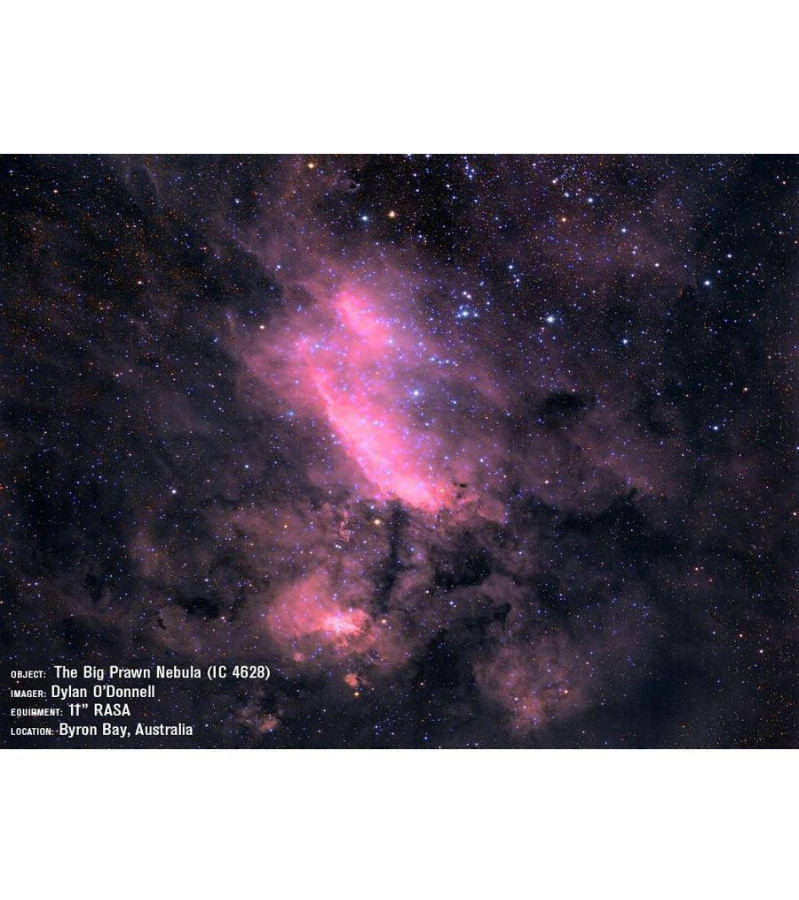 {{CGX-L 1100 RASA saddle view}}