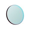 Telescope-Accessories-Antlia H-Alpha 3nm Pro Filter – 50 mm 4